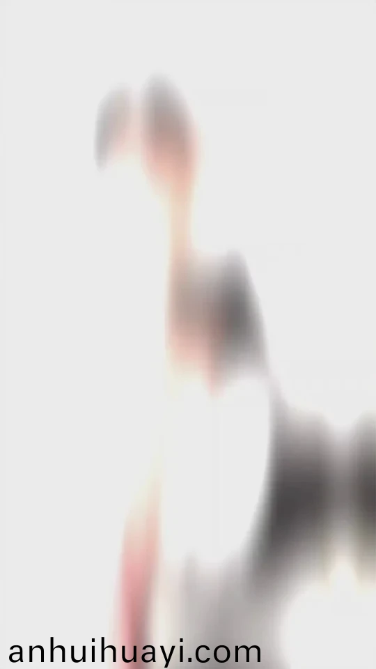 日韩一区二区三区免费播放